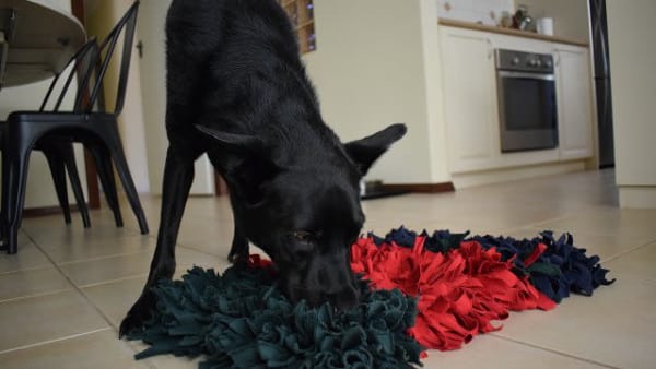 Make your pooch this easy snuffle ball