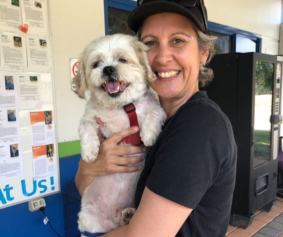 Bubba the Maltese-cross made a full recovery and found a permanent loving home