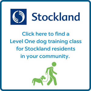 Click here to book an RSPCA Level One Dog Training class in your Stockland community