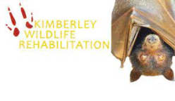 Kimberley Wildlife Rehabilitation  RSPCA WA Animal Welfare Community Award winner (Silver) 2022
