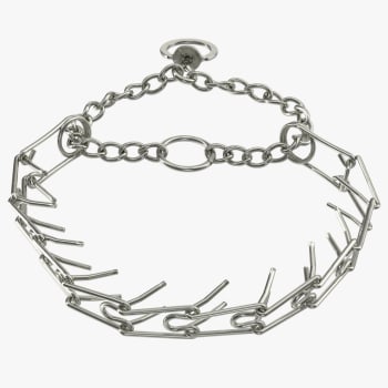 steel pronged collars are harmful to dogs