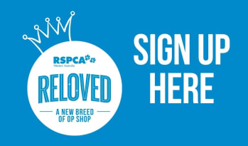 Sign up to be an RSPCA Reloved VIP member