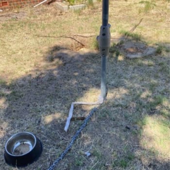 The chain and empty water bowl at the Cloverdale property. 