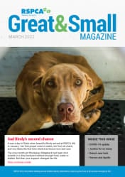 RSPCA WA Great & Small newsletter - March 2022 cover
