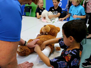 Child learning pet first aid at RSPCA School Holiday Program