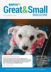 Click to open RSPCA WA Great & Small Magazine December 2021 edition