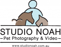 Studio Noah Pet Photography logo