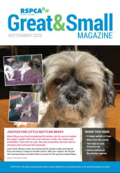 RSPCA WA Great & Small Magazine cover September 2020