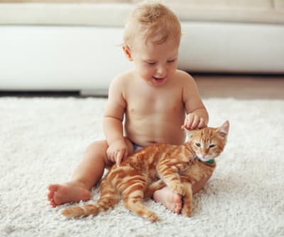 A baby sits on the floor and interacts with a ginger cat