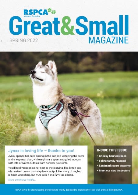 Great & Small Magazine | RSPCA WA