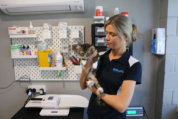 Rescue kitten Dixie and vet nurse Candy in RSPCA vet clinic