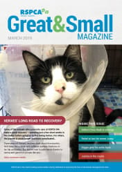 RSPCA Great & Small cover March 2019