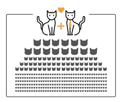 Two cats can produce up to 1000 kittens over a five year period