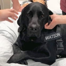 Watson RSPCA WA Animal Welfare Animal Award winner (Silver) 2022