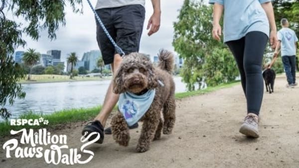 Are you 'pup' to the challenge? Walk This May to fight cruelty