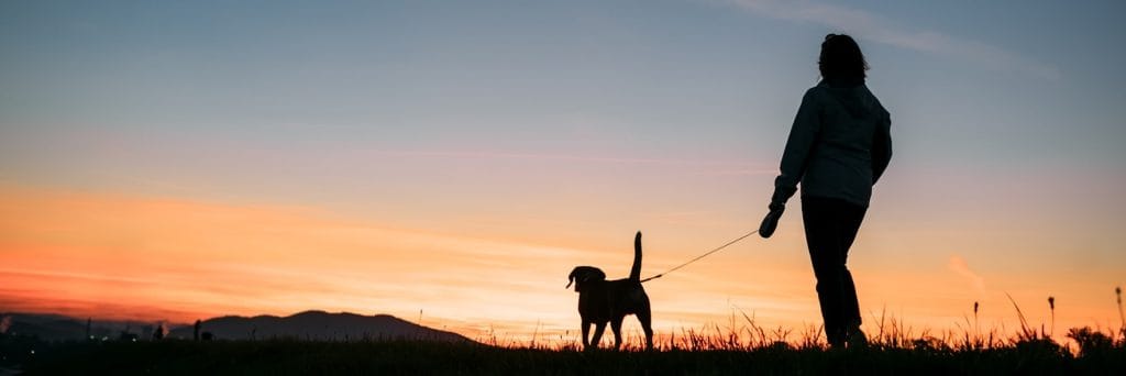 A lifeline for my pets, and my family