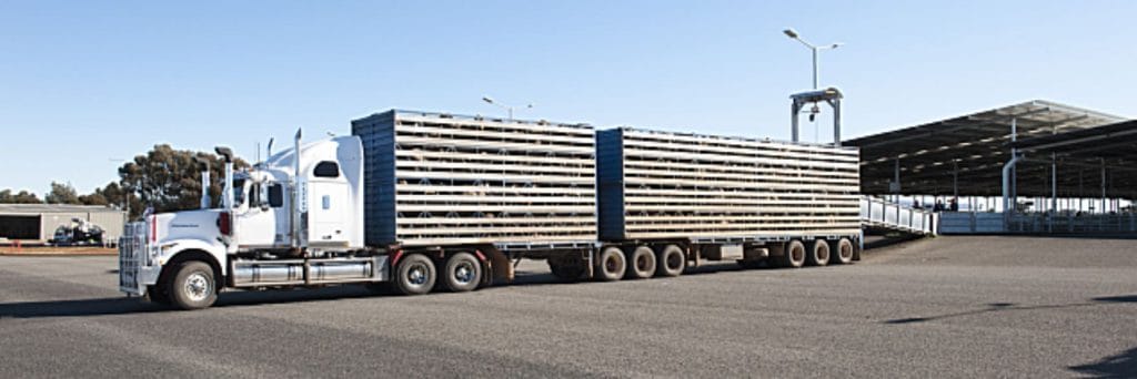 WA finally adopts standards and guidelines for livestock