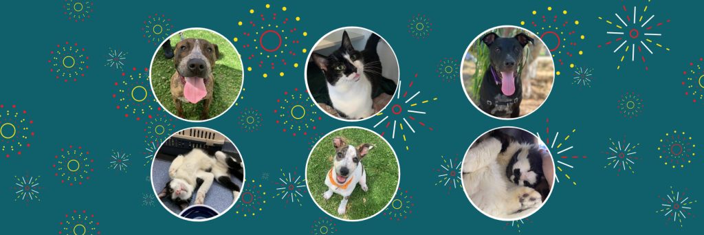 Adopt a New Year's resolution you can keep forever