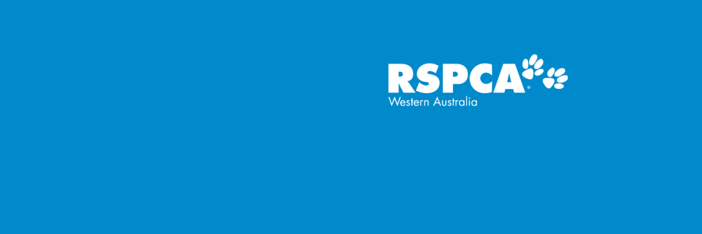 Perth and Peel lockdown update - 29 June