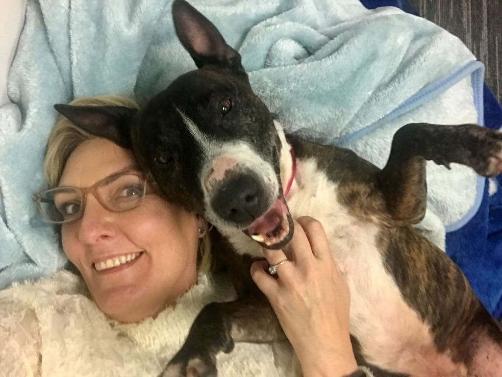 Once hungry and forgotten, Harvey is now looking towards a bright future