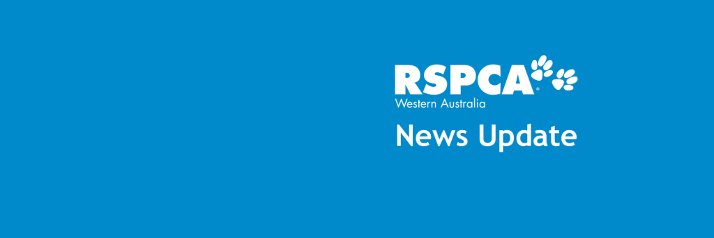 RSPCA community event postponed due to Parvovirus
