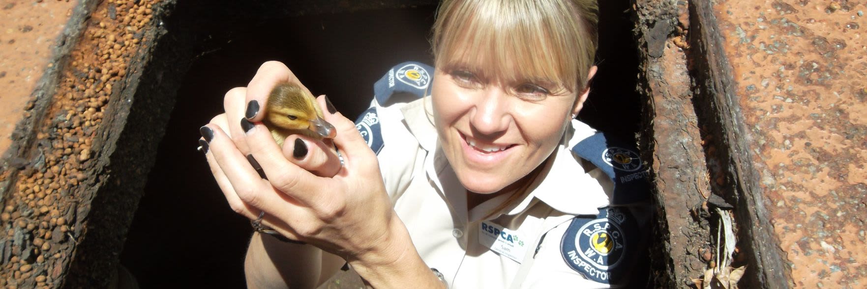 RSPCA WA - Improving animal welfare for 130 years
