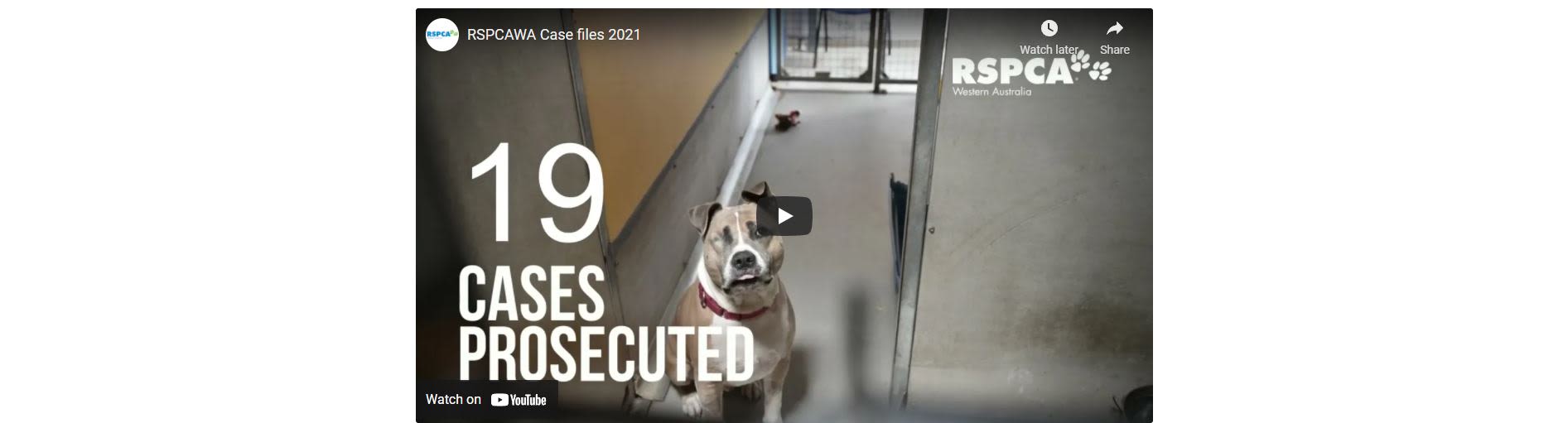 RSPCA WA opens case files to reveal shocking neglect trend
