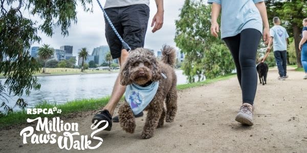 Are you 'pup' to the challenge? Walk This May to fight cruelty