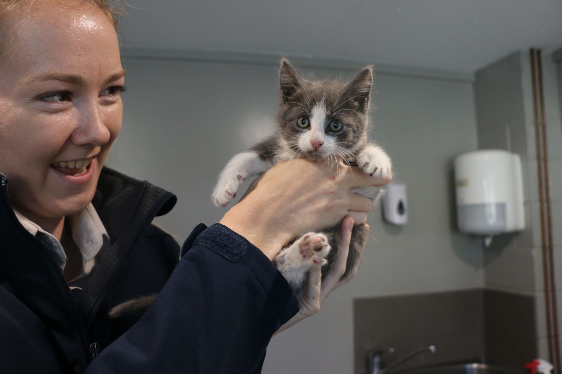 Marathon effort to save trapped kitten