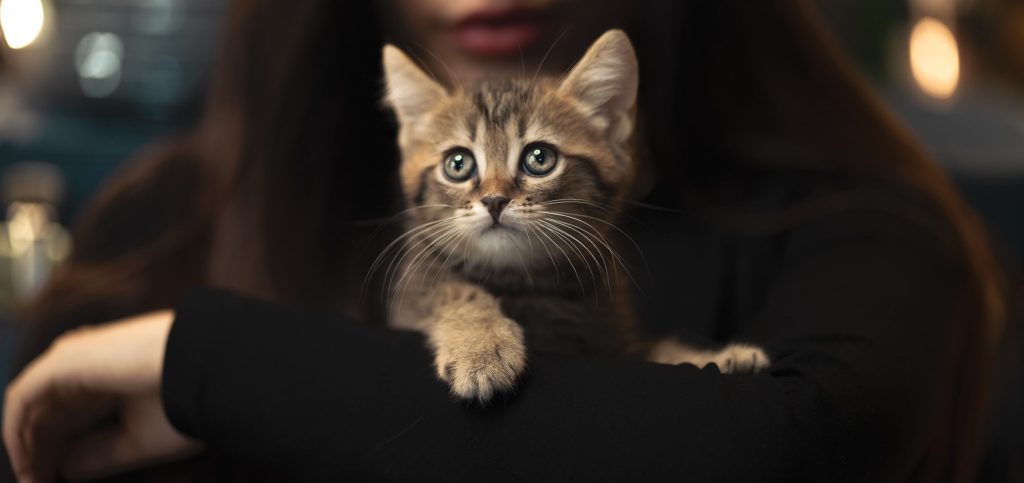 RSPCA WA's first Pet Census - the results are in