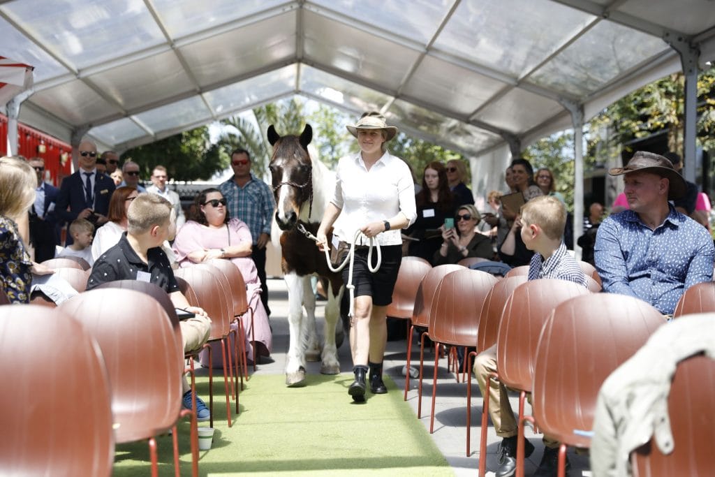 Heroes and heart warmers in annual animal awards