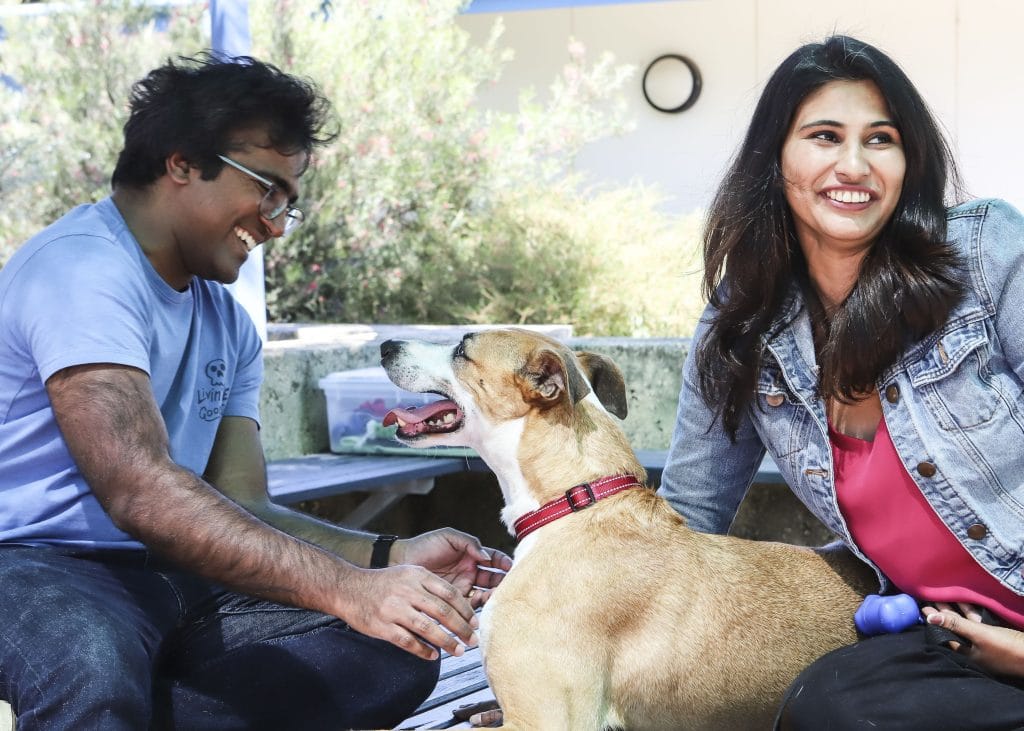 Dog adopted after 615 days with RSPCA WA