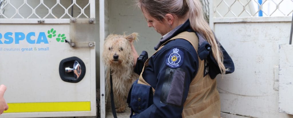 Don't leave pets out in the cold this winter