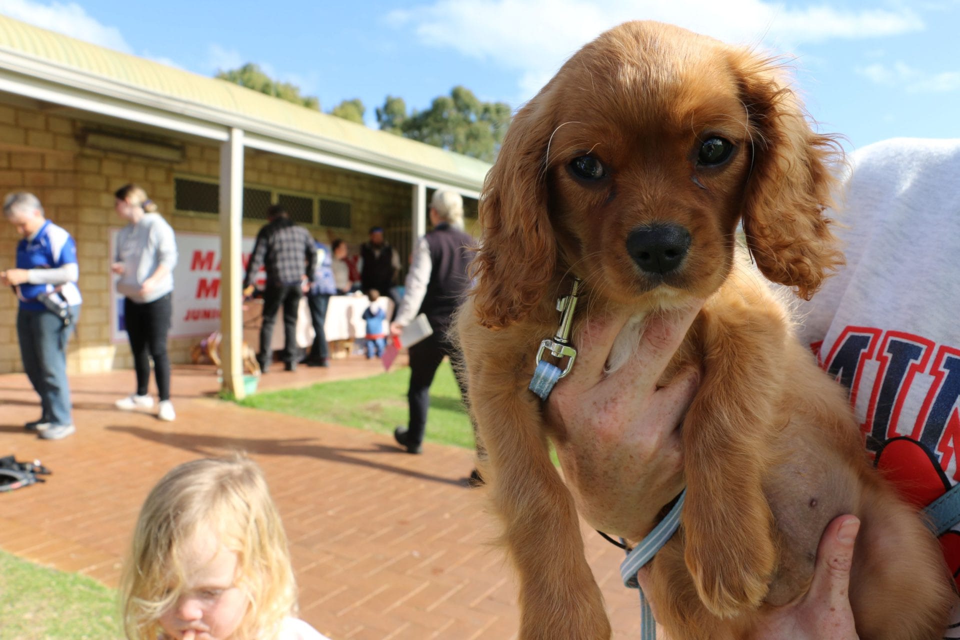Free food and dog health checks in Balga