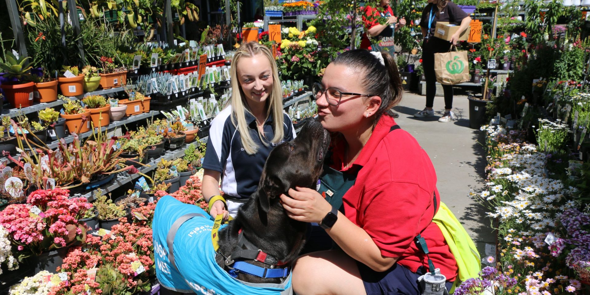 Bunnings helps rehome bunnies (and dogs, and cats, and...)