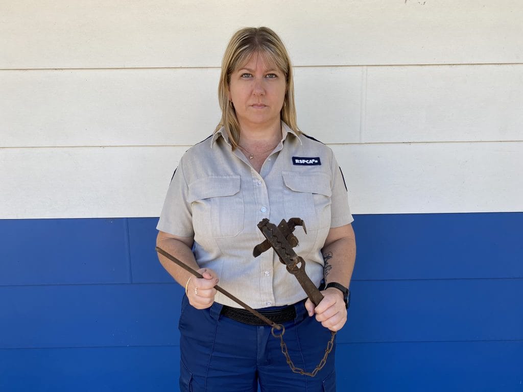 Pet cats fall victim to 'barbaric' steel-jaw traps