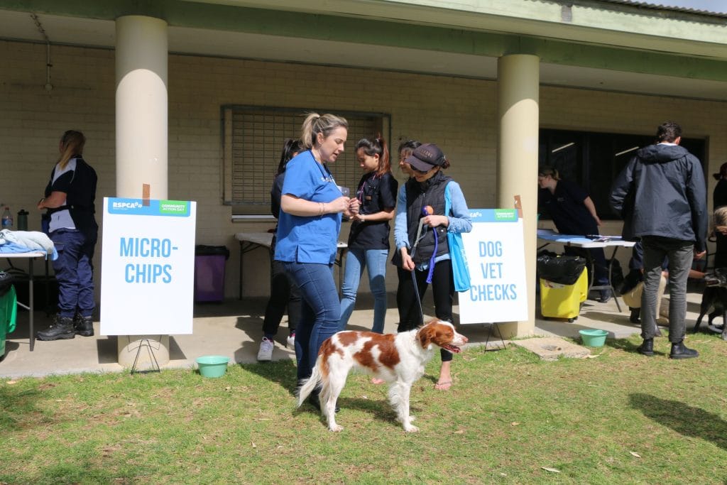 Free food and dog health checks in Thornlie