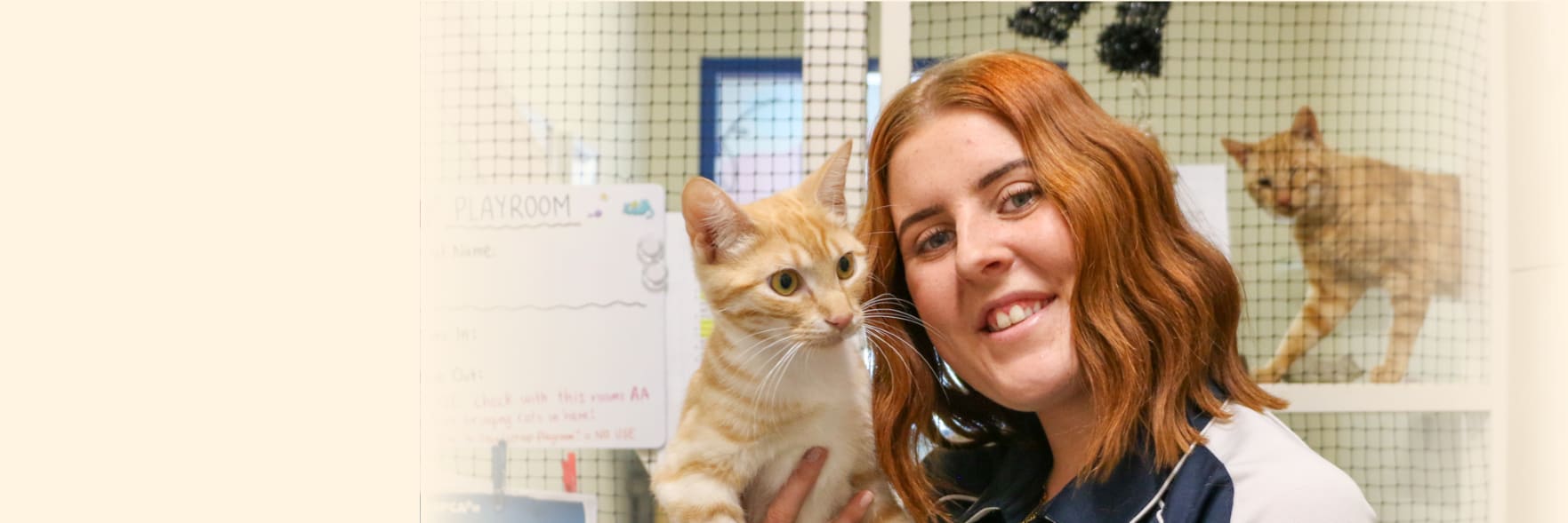 St Paw-trick's Day adoption drive as shelter reaches capacity