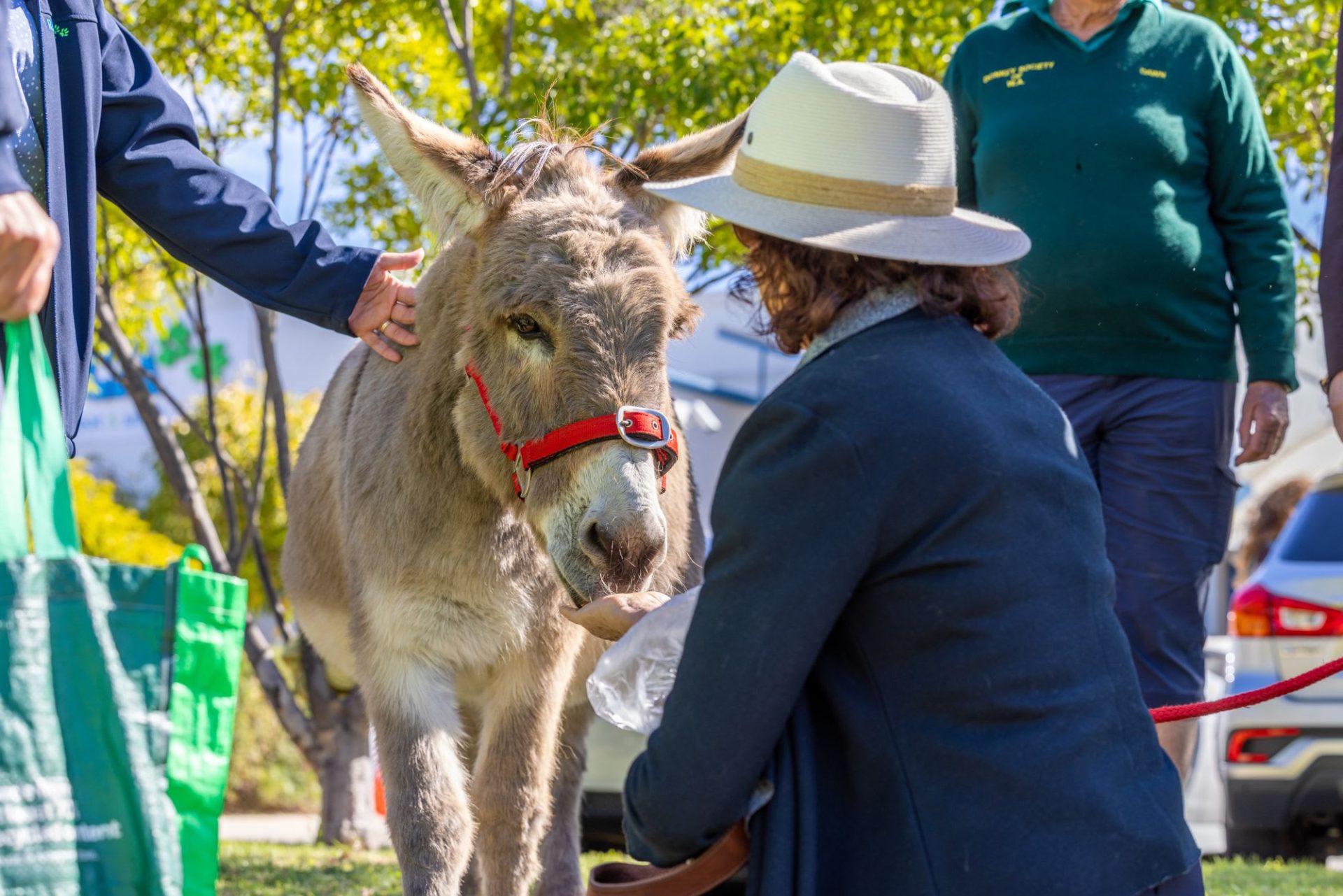 RSPCA WA pays tribute to lifesaving animals for ANZAC Day