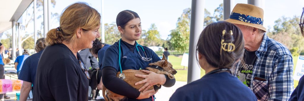 Free flea treatments and dog health checks in Bunbury
