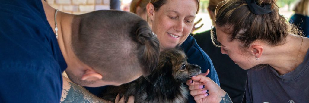 Free food and dog health checks in Armadale