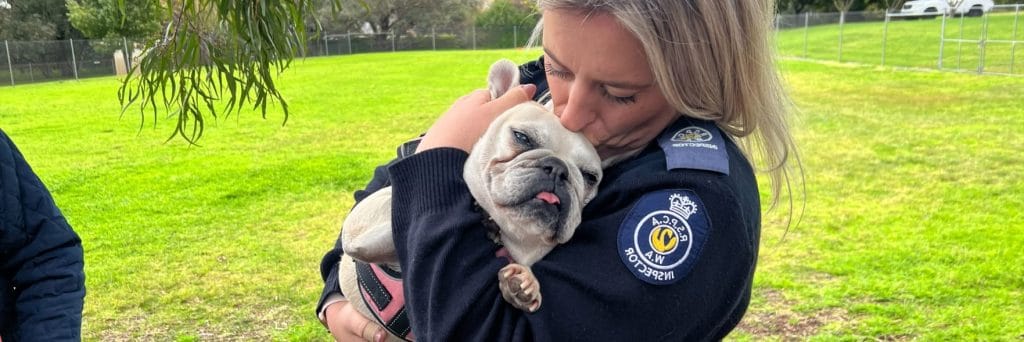 Inspector reunites with French bulldogs she rescued