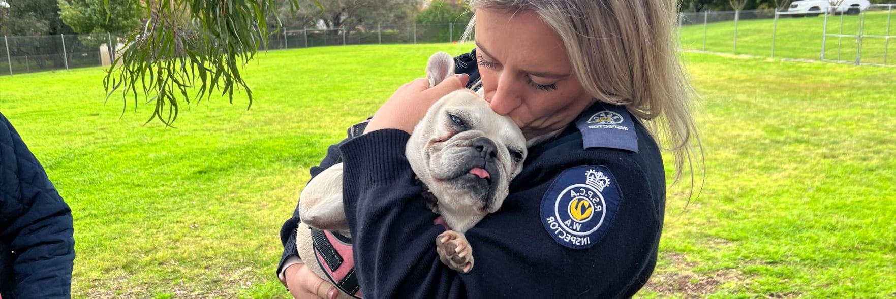 Inspector reunites with French bulldogs she rescued