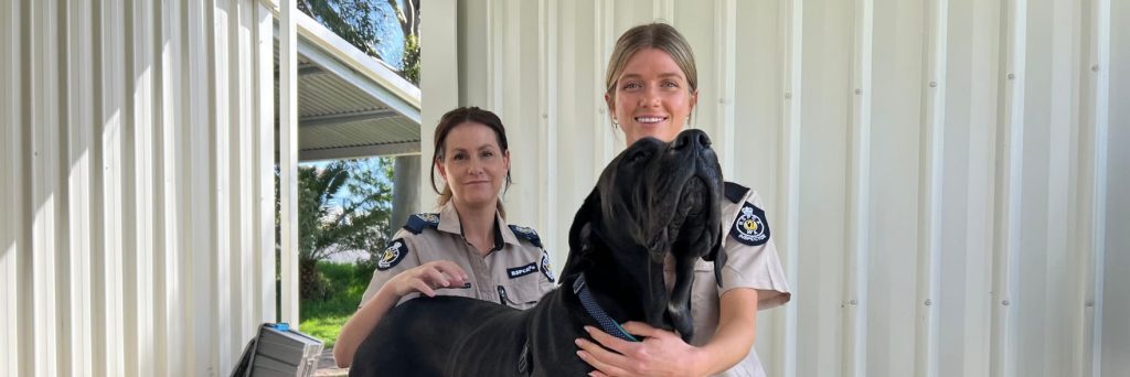 Raise some dough to help more dogs like Cupcake
