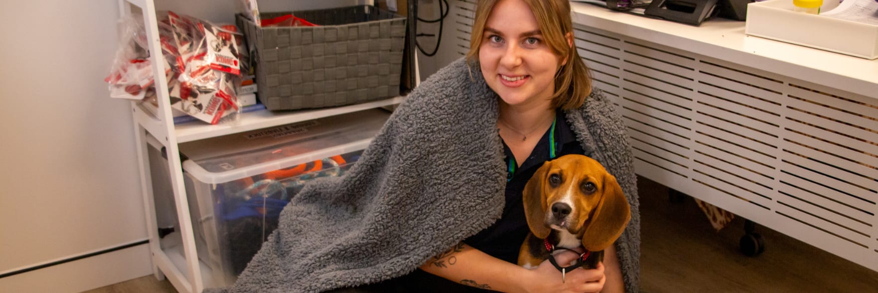 The big chill - don't leave pets out in the cold