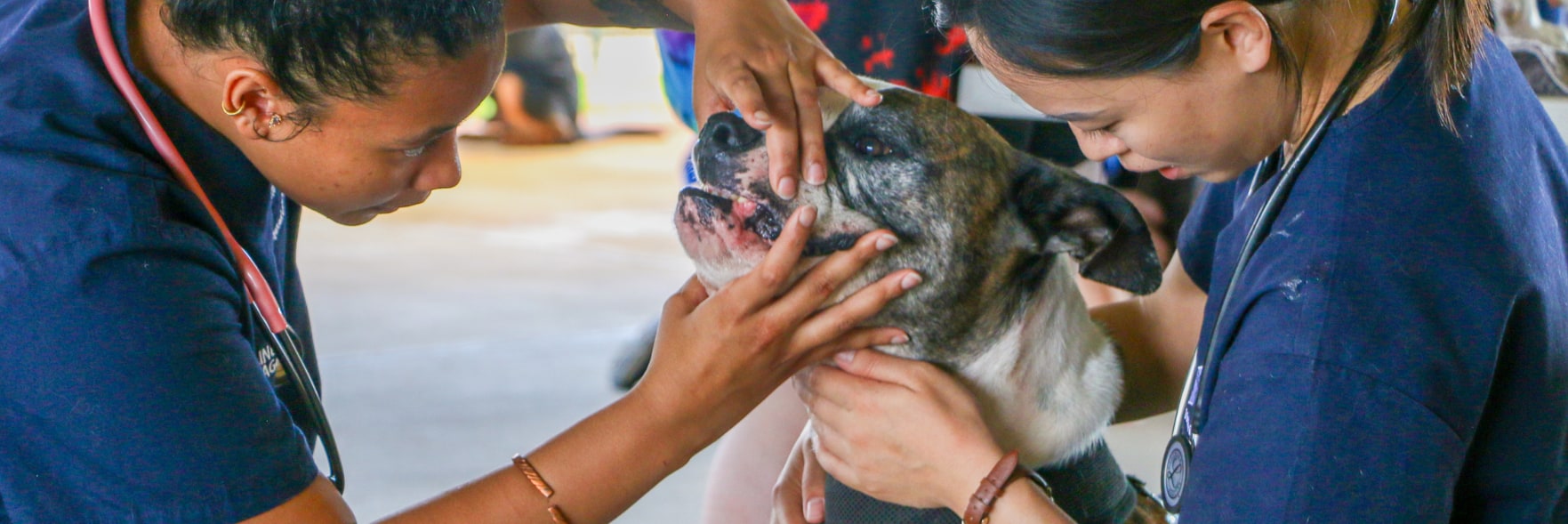 Free food and dog health checks in Heathridge