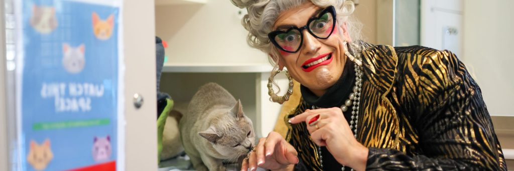 RSPCA WA foster care far from a drag