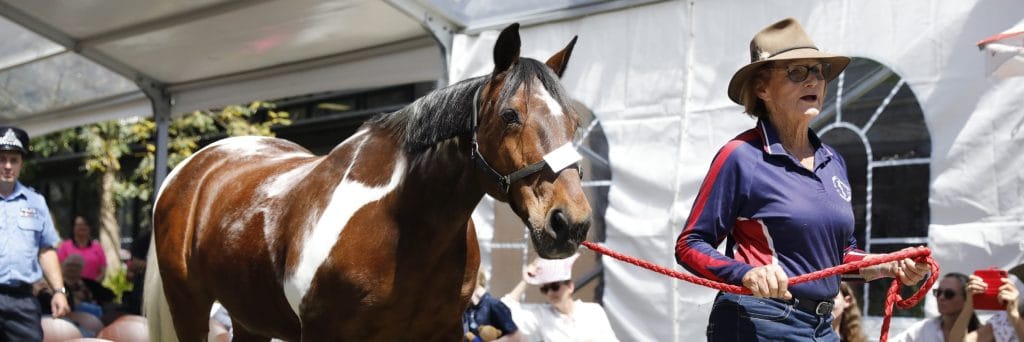 Nominations now open for WA's top animal awards