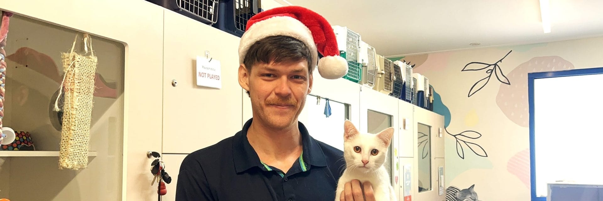 What a Christmas Day at RSPCA WA