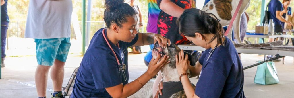 Free food and dog health checks in Ellenbrook